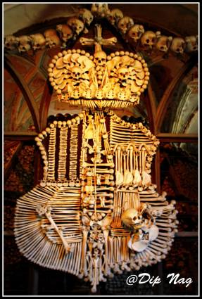 1614190_10201666232489969_4646259984256301481_o