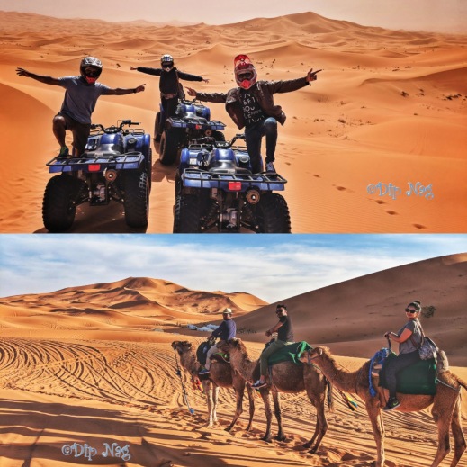 Desert Ride_Collage